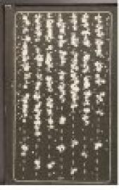 Scheidemünze. Aus dem Deutschen Sprichwörter-Lexikon des Karl Friedrich Wilhelm Wander.