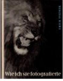 Wie ich sie fotografierte.