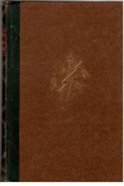 Das Zimmer der Jugend.