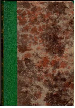 Der Wetterwart. Roman