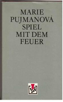 Spiel mit dem Feuer. Roman