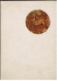 Robin Hood der Rächer von Sherwood