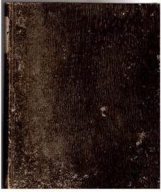 Amtsblatt der königlichen Regierung zu Potsdam und der Stadt Berlin. Jahrgang 1877.