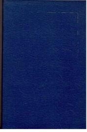 Das Christentum als absolute Religion.