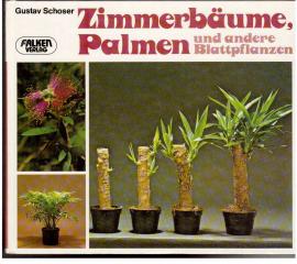 Zimmerbäume, Palmen und andere Blattpflanzen.