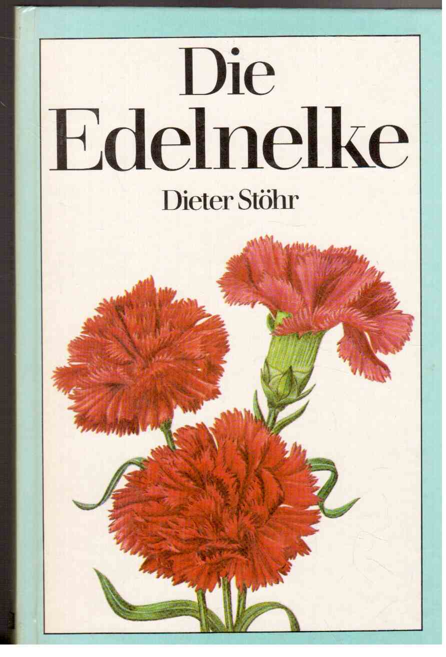 Die Edelnelke Die Edelnelke