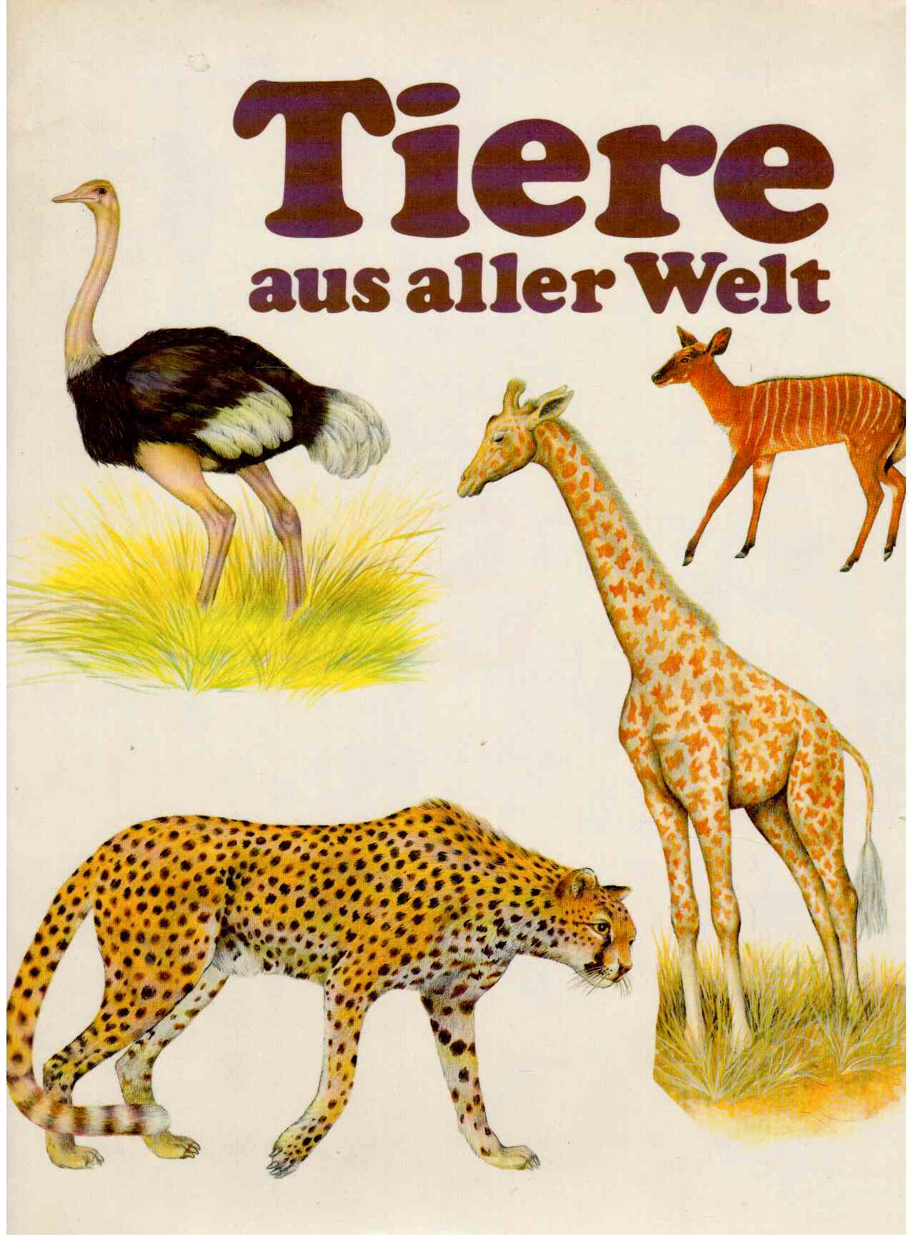 Tiere aus aller Welt