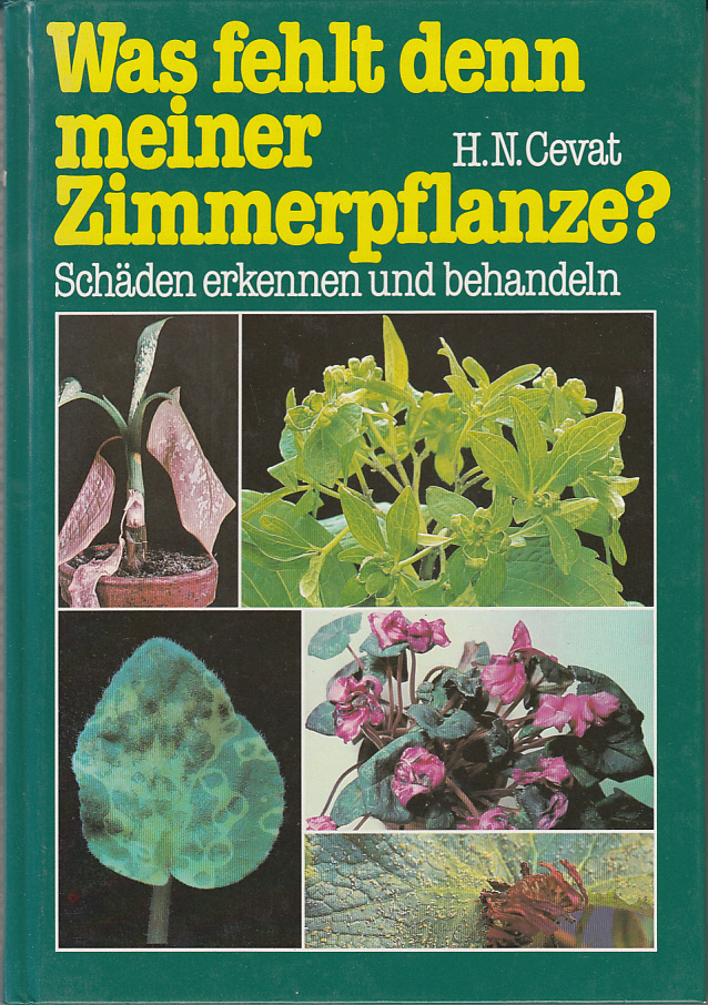 Was fehlt denn meiner Zimmerpflanze : Schäden bekennen und behandeln