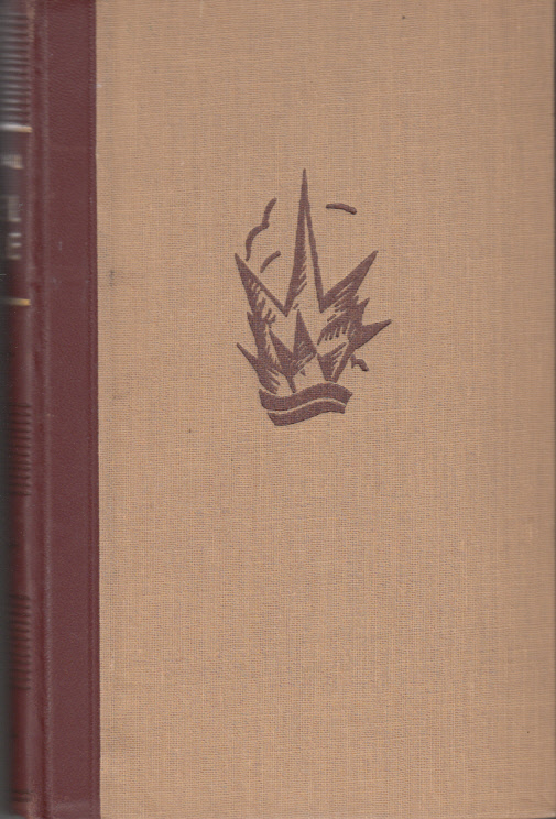 Insel Hölle : Roman