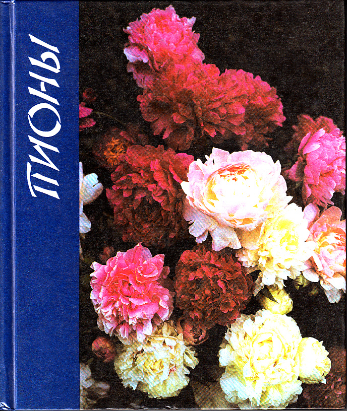 Pionoij (Pfingstrosen)