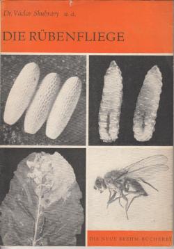 Die Rübenfliege. (Pegomya betae Curt.und P. hyoscyami Panz.) Die Rübenfliege. (Pegomya betae Curt.und P. hyoscyami Panz.)