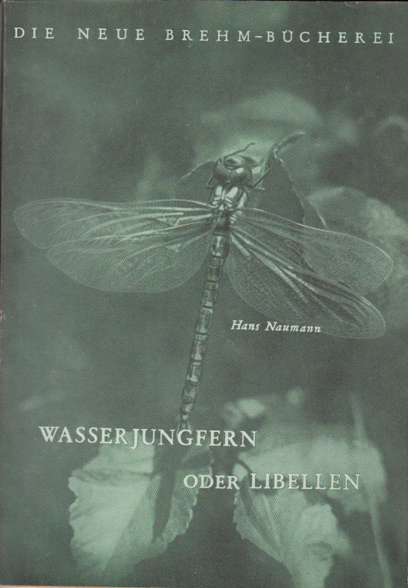 Wasserjungfern oder Libellen