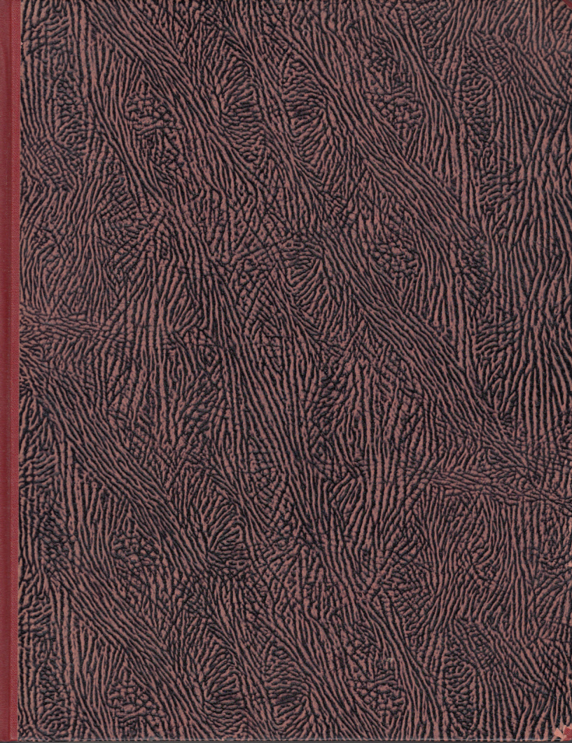 Deutsche Filmkunst. Zeitschrift für Theorie und Praxis des Filmschaffens. 10. Jahrgang 1962 (Gebunden)