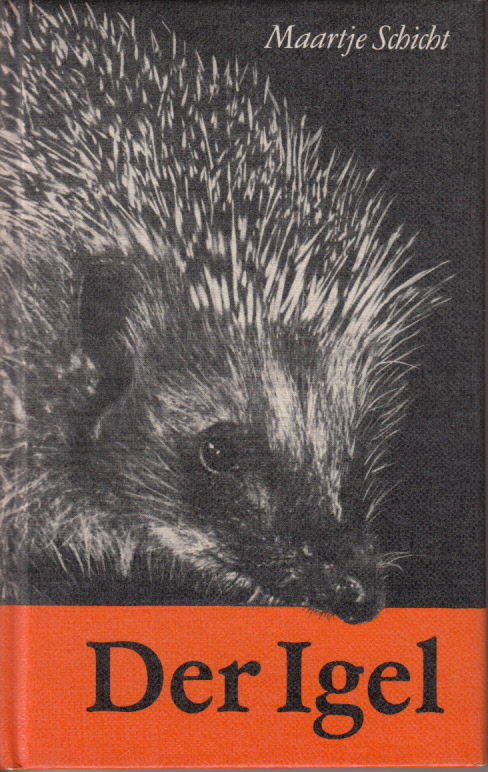 Der Igel. Wintergast und Patient