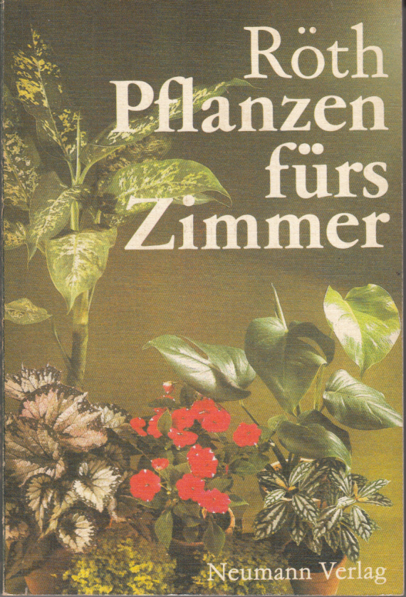 Pflanzen fürs Zimmer