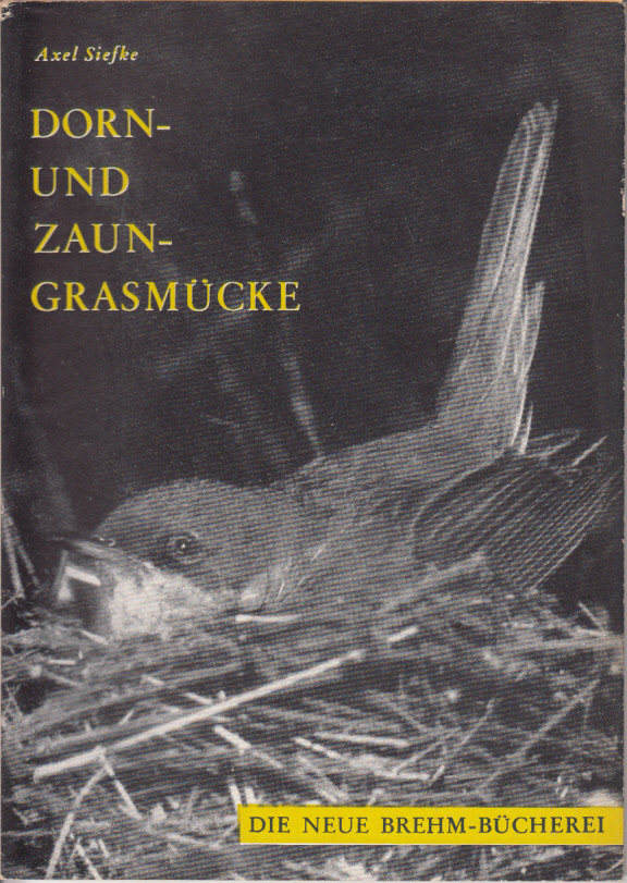 Dorn- und Zaungrasmücke. Sylvia communis Latham, S. currurca (Linne)