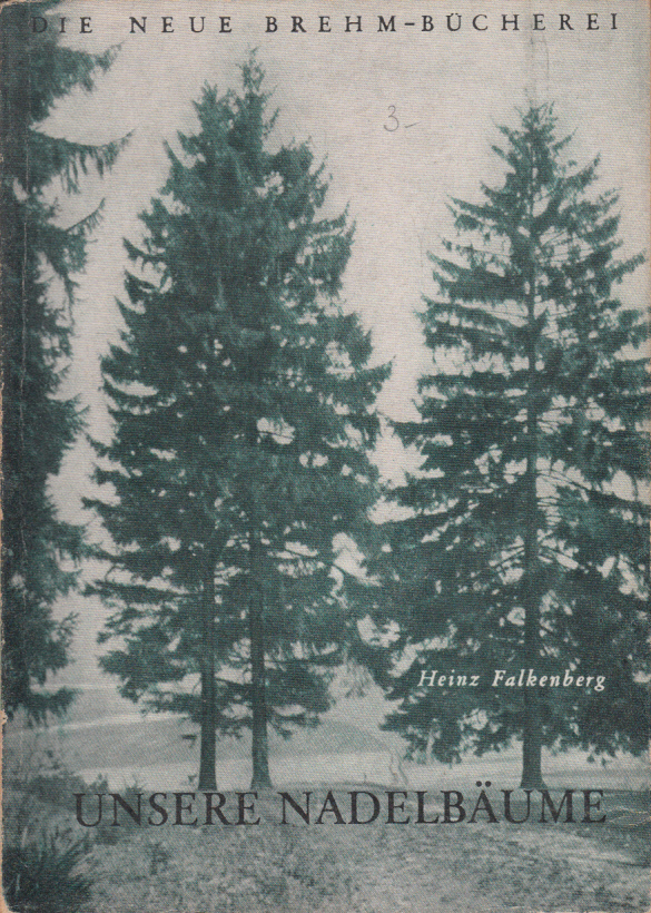 Unsere Nadelbäume