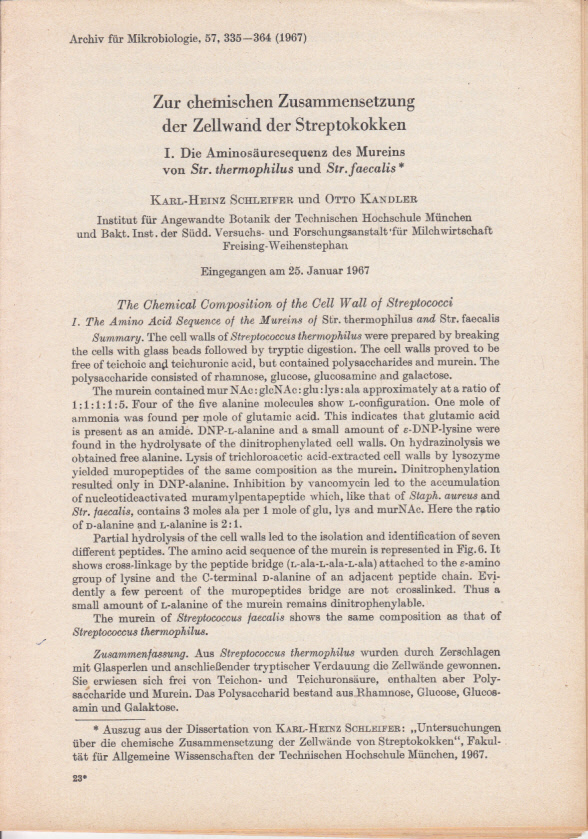 Zur chemischen Zusammensetzung der Zellwand der Streptokokken. I. Die Aminosäuresequenz des Mureins von Str. thermophilus und Str. faecalis