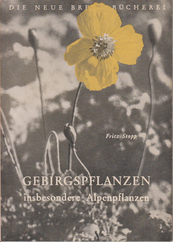 Gebirgspflanzen, insbesondere Alpenpflanzen