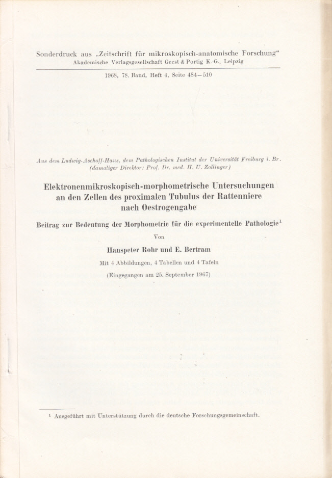 Elektronenmikroskopisch-morphometrische Untersuchungen an den Zellen des proximalen Tubulus der Rattenniere nach Oestrogengabe