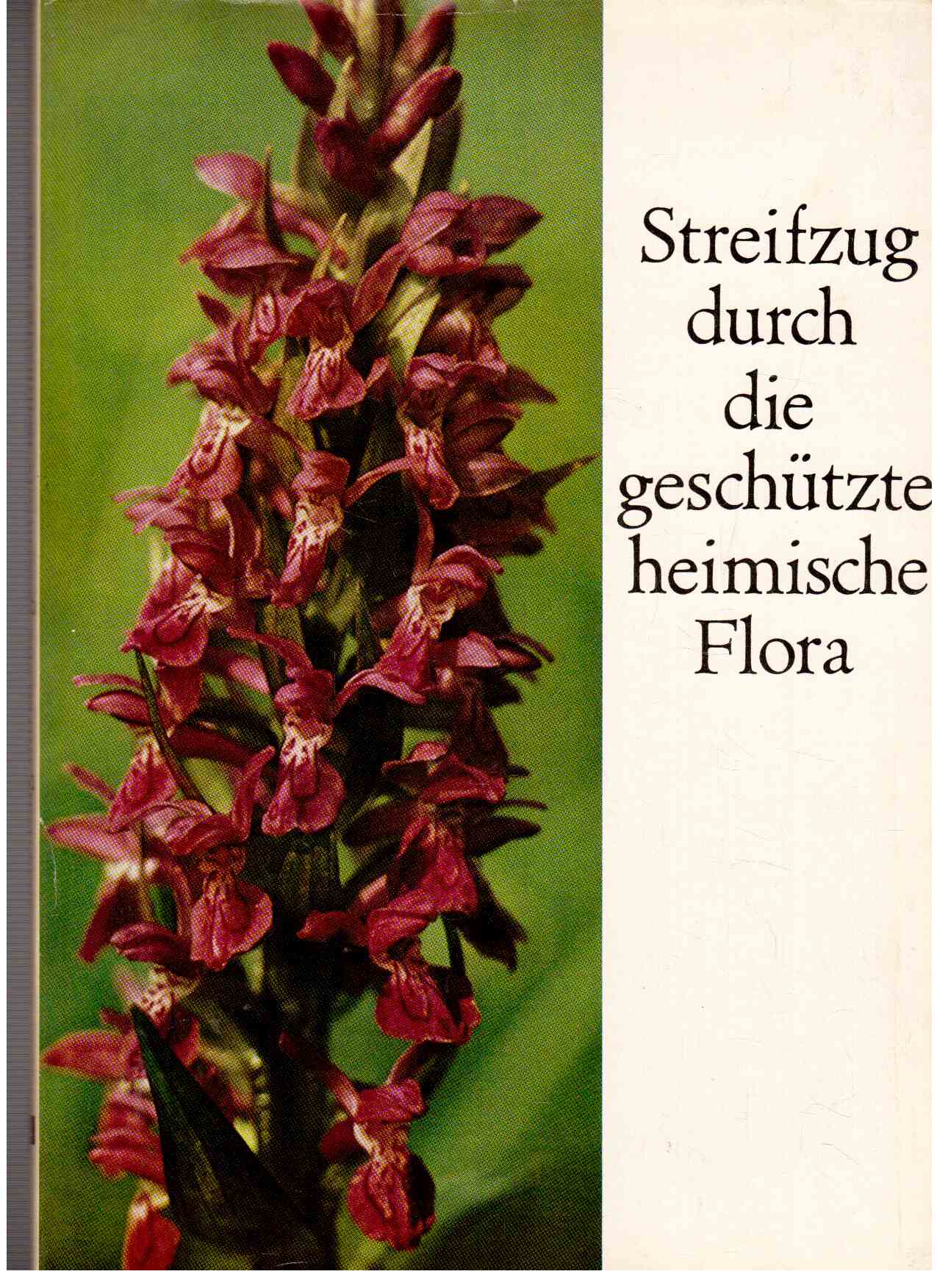 Streifzüge durch die geschützte heimische Flora