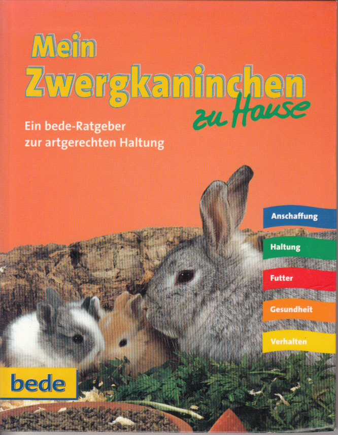 Mein Zwergkaninchen zu Hause