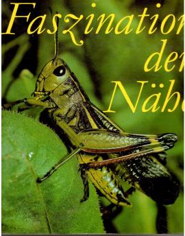 Faszination der Nähe