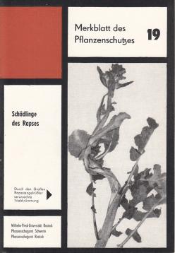 Schädlinge des Rapses