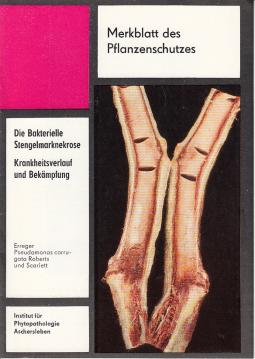 Die Bakterielle Stengelmarknekrose - Krankheitsverlauf und Bekämpfung