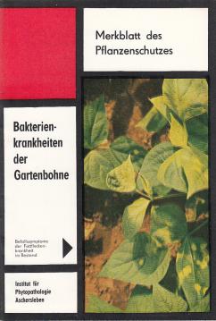 Bakterienkrankheiten der Gartenbone Bakterienkrankheiten der Gartenbone