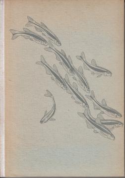 Bunte Welt im Glase. Das Aquarium biologisch gesehen