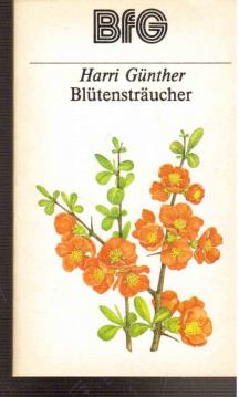 Blütensträucher Blütensträucher