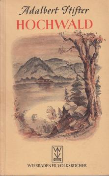 Hochwald : eine Jugenderzählung