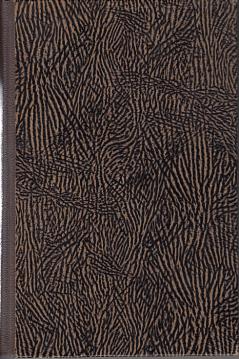 Die schwarzen Fahnen von Dittersdorf. Erzählung.