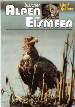 Zwischen Alpen und Eismeer Zwischen Alpen und Eismeer