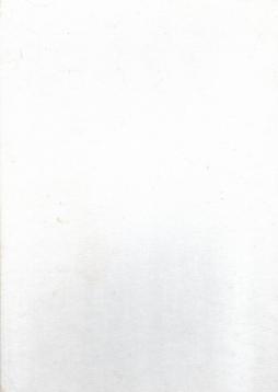 Facsimile Querschnitt durch die Berliner Illustrirte. Band 6