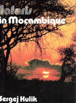 Safaris in Mocambique