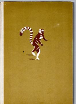 Heißes Dorf auf Madagaskar.