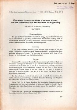 Über einen Potamotherium-Kiefer (Carnivora, Mamm.) aus dem Obermiocän von Reichenstetten bei Regensburg