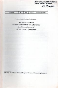 Ein Stenosaurus-Fund aus dem nordwestdeutschen Oberen Lias