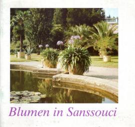 Blumen in Sanssouci