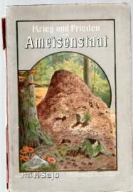 Krieg und Frieden im Ameisenstaat