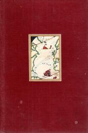 Du und die Erde. Eine Geographie für Jedermann.