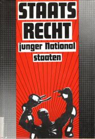 Staatsrecht junger Nationalstaaten. Grundriss