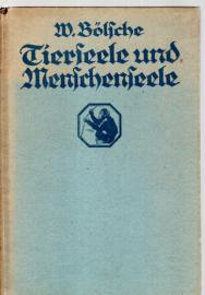 Tierseele und Menschenseele 