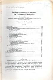 Der Bewegungsapparat der Antennen von Calliphora erythrocephala 