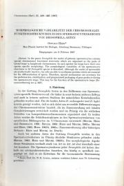 Morphologische Variabilität der chromosomalen Funktionsstrukturen in den Spermatocytenkernen von Drosophila-Arten 