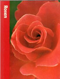 Rosen 