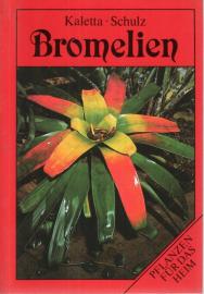 Bromelien. Pflanzen für das Heim