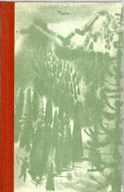 Waldrausch : Roman. Die 2 Bücher in 1 Band